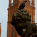 Taube auf der Statue