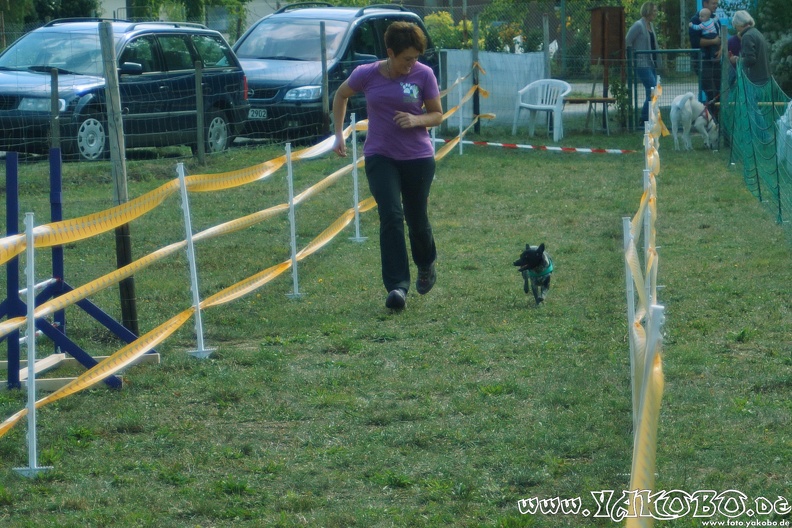 https://paypal.me/yakobo - 2015-09-12 Hunderennen 0094.JPG 2015-09-12 Hunderennen 0094.JPG