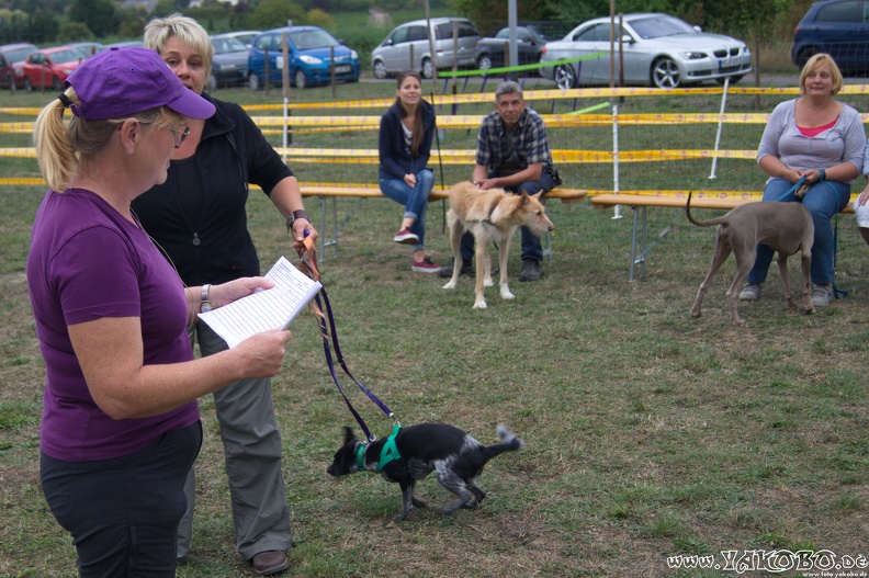https://paypal.me/yakobo - 2015-09-12 Hunderennen 0896.JPG 2015-09-12 Hunderennen 0896.JPG