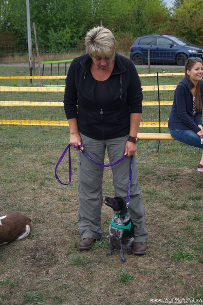 https://paypal.me/yakobo - 2015-09-12 Hunderennen 0979.JPG 2015-09-12 Hunderennen 0979.JPG